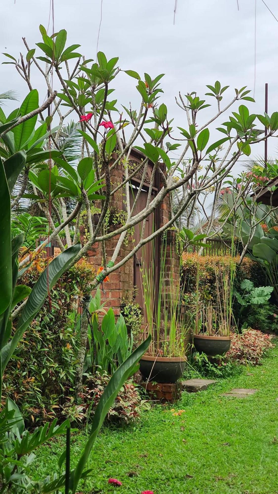 Kebun Puisi Villa Kajang Ngoại thất bức ảnh