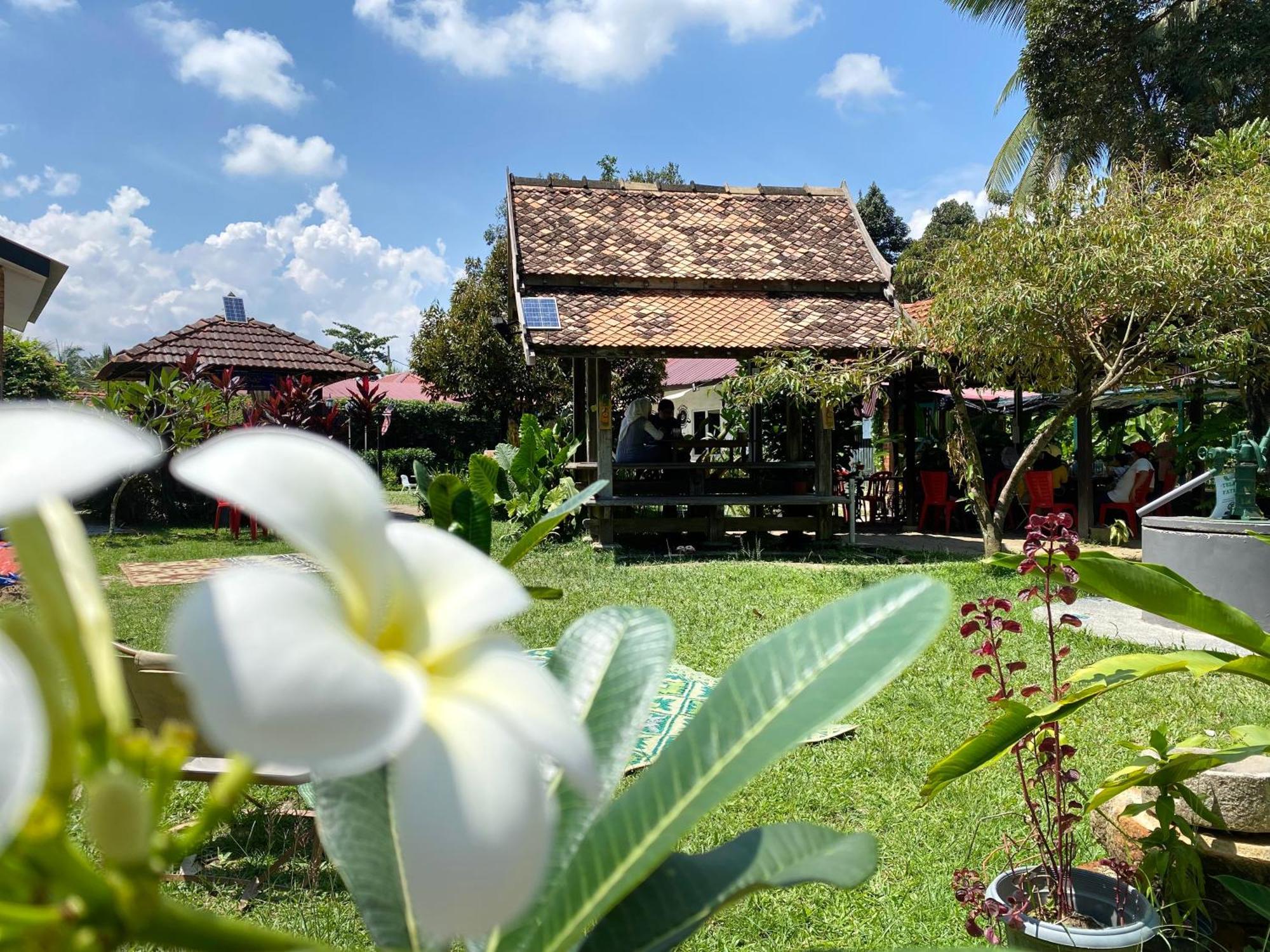 Kebun Puisi Villa Kajang Ngoại thất bức ảnh